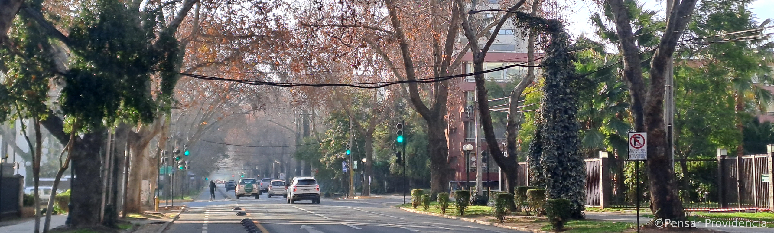 Avenida-Ricardo-Lyon-Providencia